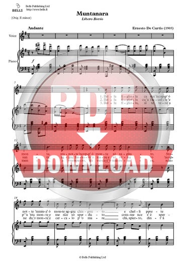 Curtis, Ernesto de: Muntanara